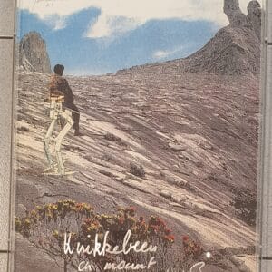 Knikkebeen