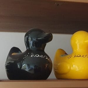 Ducks from the sunny day in paradise in Middelkerke