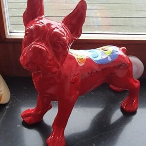 Small french bulldog