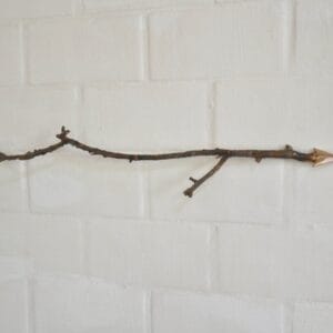 Hephaistos' Arrow